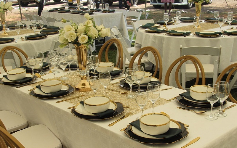 Professional Conference Setup