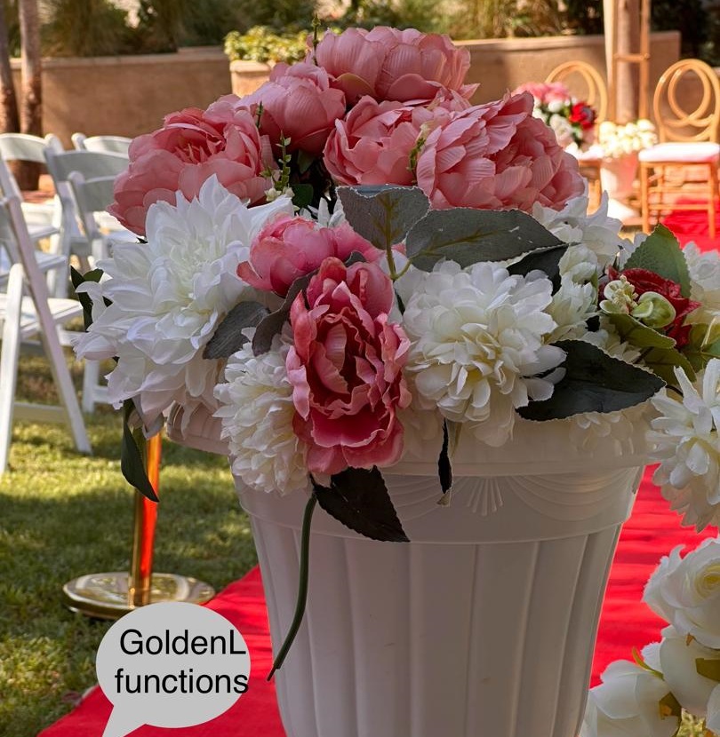 Bridal Gown Collection