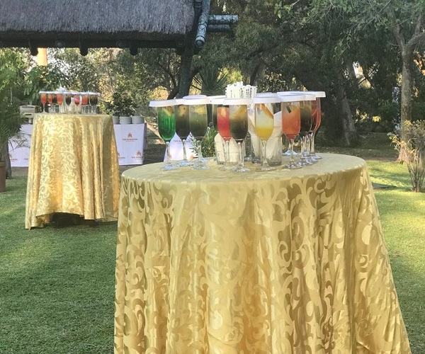 Elegant Corporate Gala